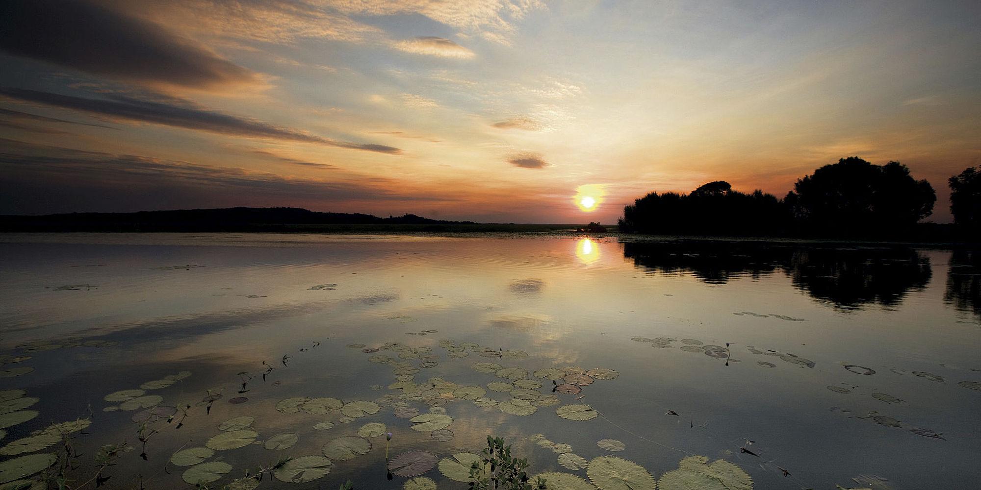 Corroboree Billabong
