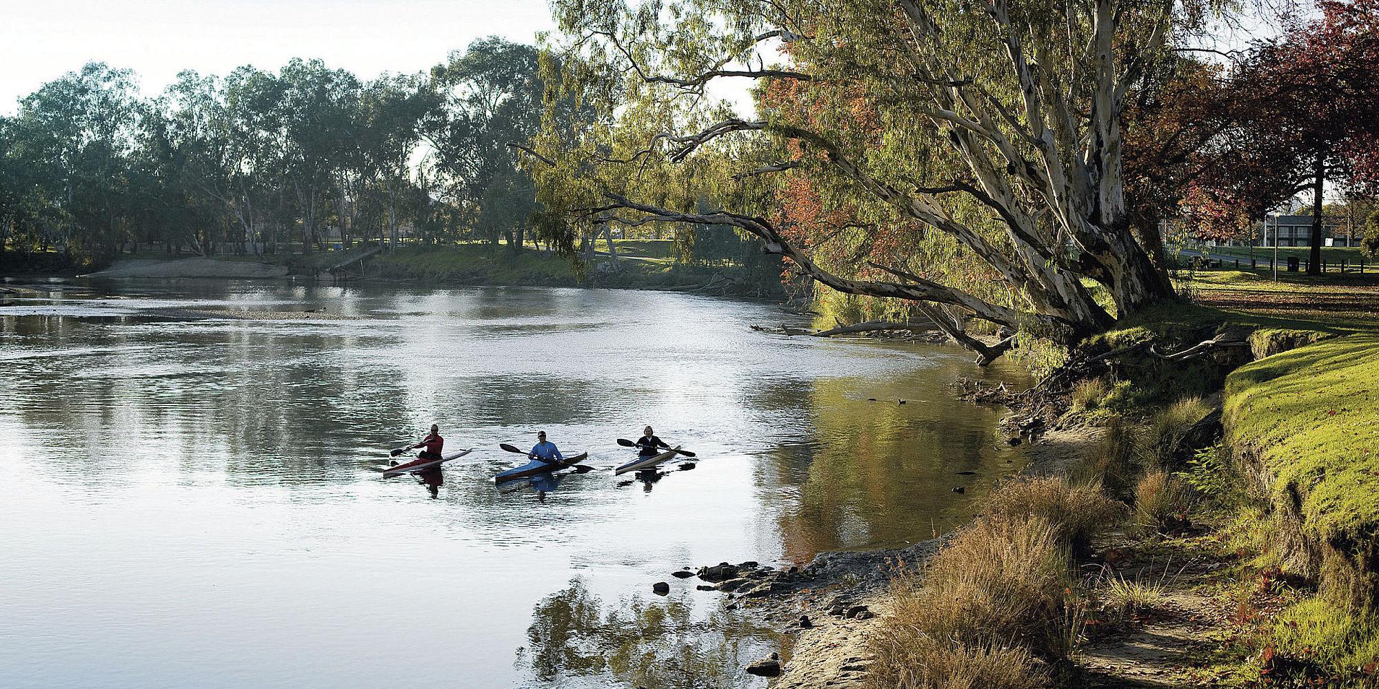 csm_Rowers_Noreuil_Park__Albury_868dd53886