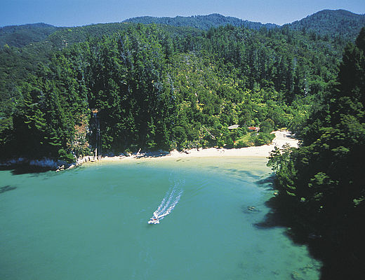 Swingbridge, Bush & Beach Walk