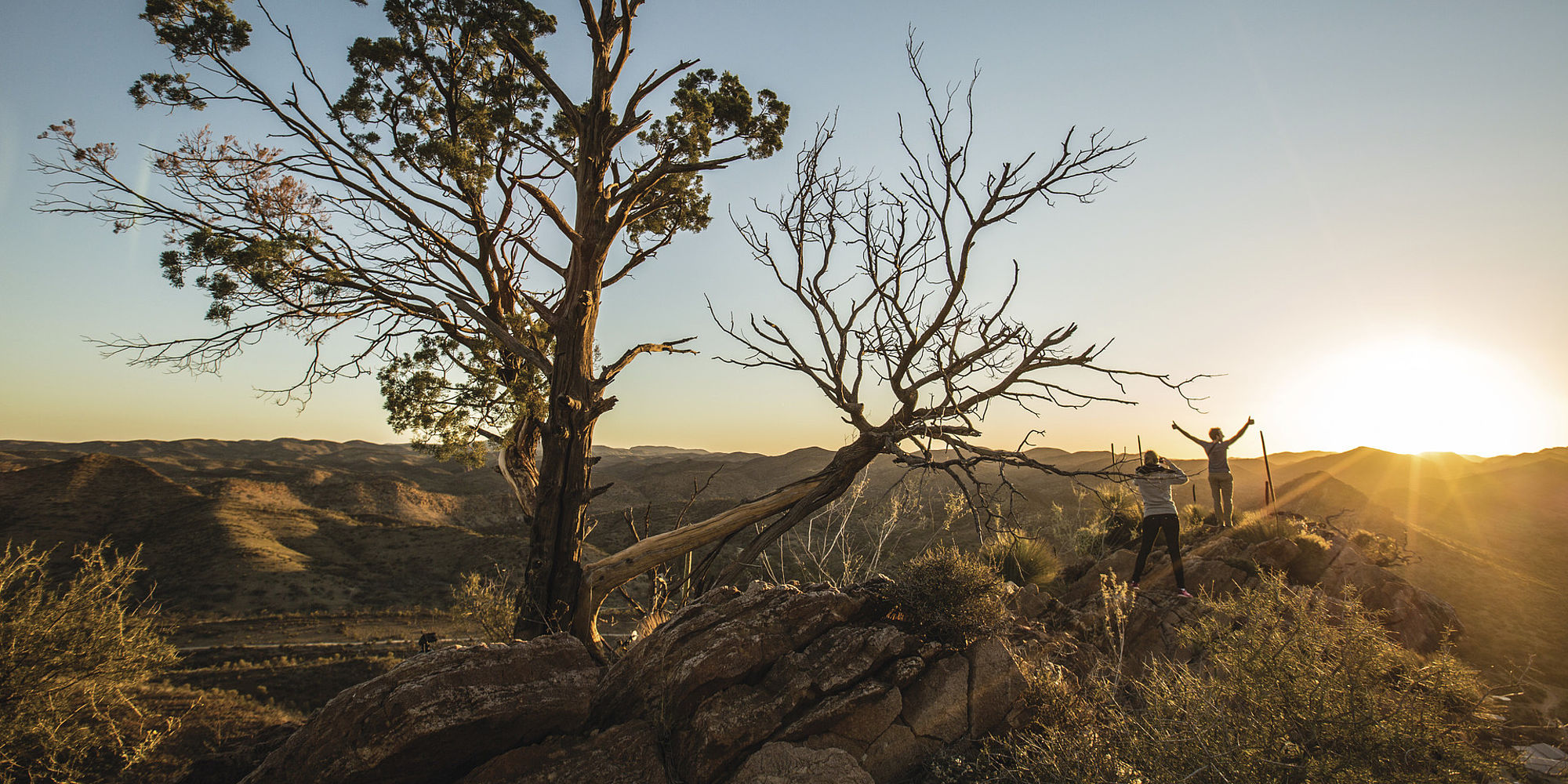 Flinders Ranges Arkaroola | rondreis Australië