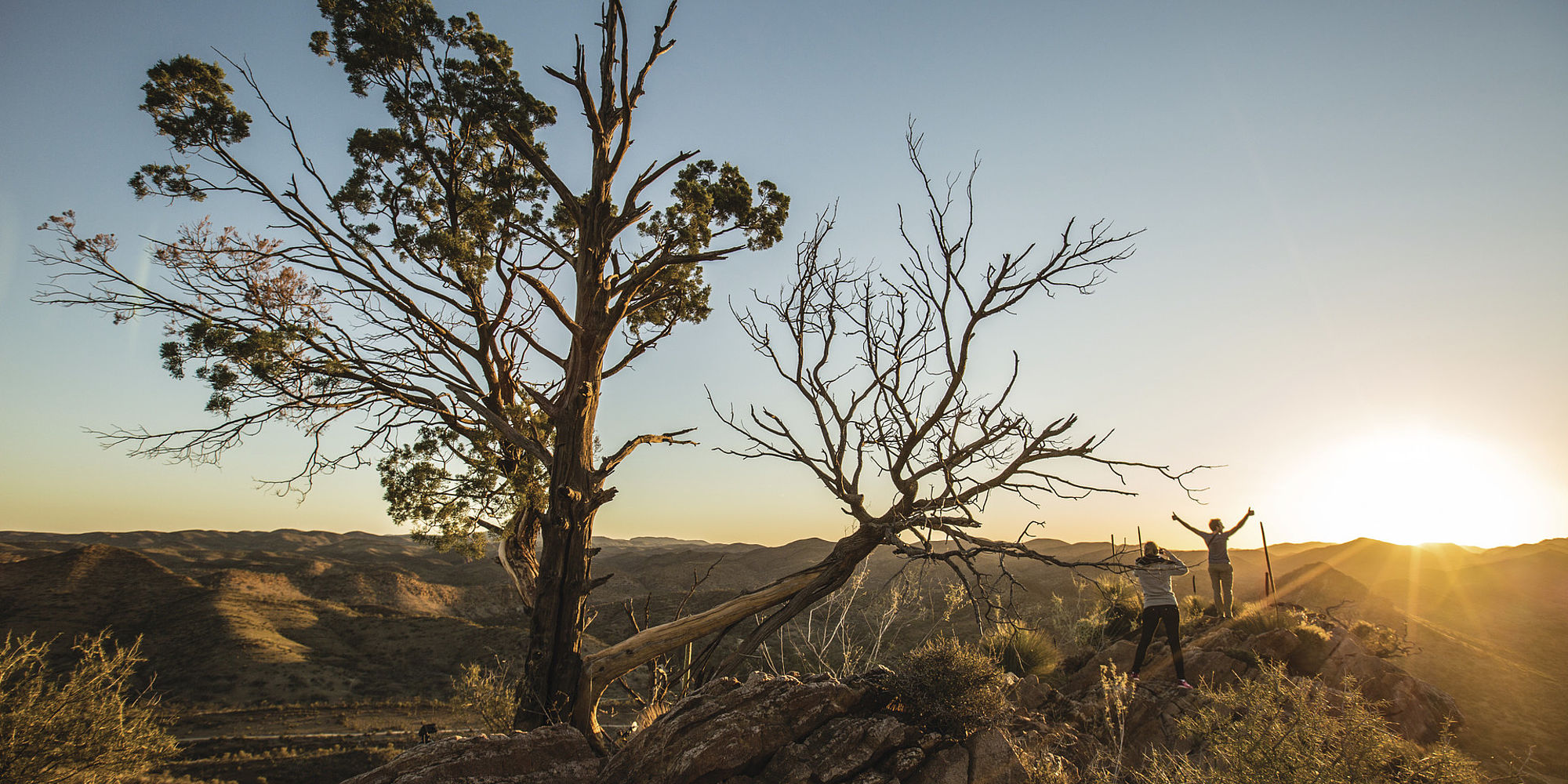 Flinders Ranges National Park