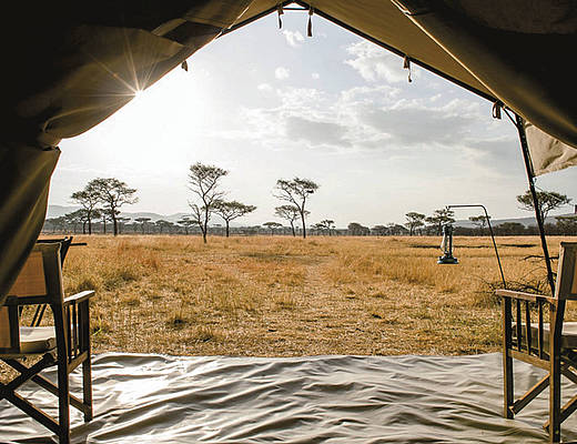 Serengeti Kati Kati Camp | Impala Tours