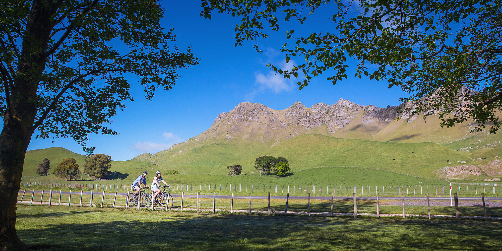Hawke's Bay te mata peak | vakantie nieuw zeeland