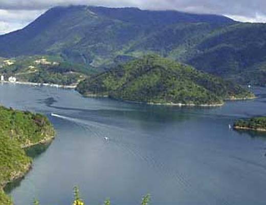 Interislander Ferry Nieuw-Zeeland