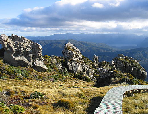 Hump Ridge Track | rondreis Nieuw-Zeeland