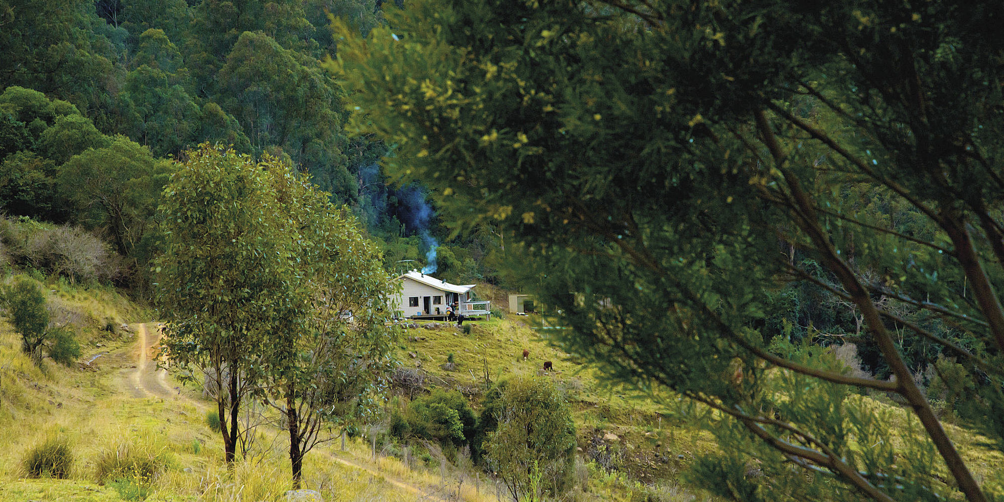 Barrington Tops National Park