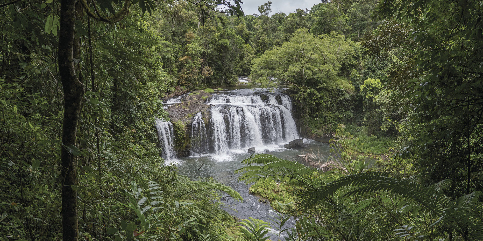 Wallicher Falls, Atherton Tablelands