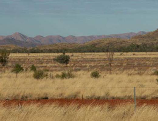 Tanami Desert | Northern Territory