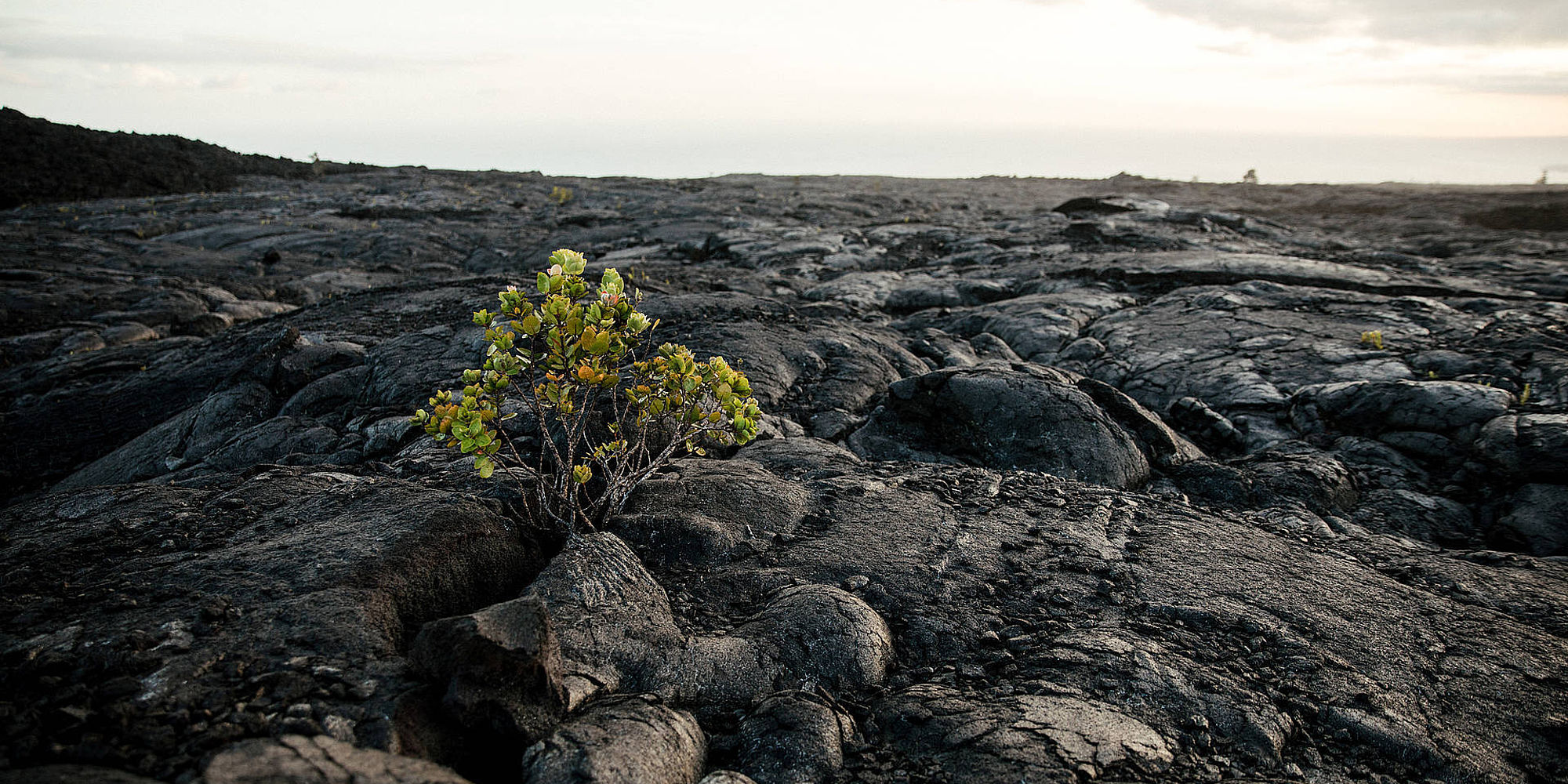 Volcanoes National Park | Big Island