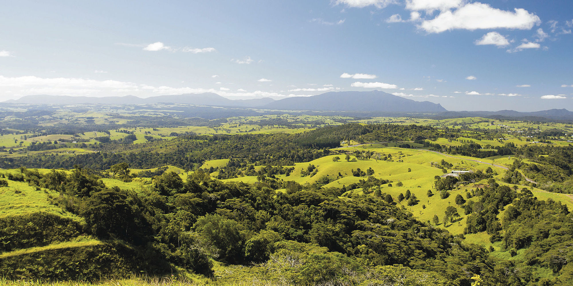 Artherton Tablelands