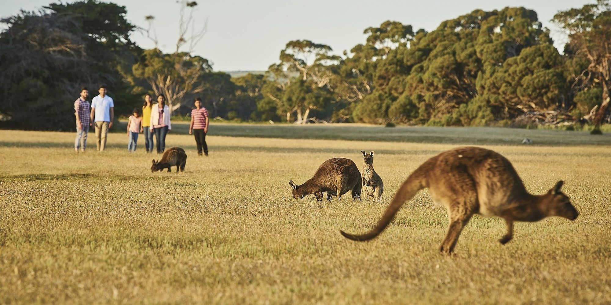 Grassdale | Australië met kinderen