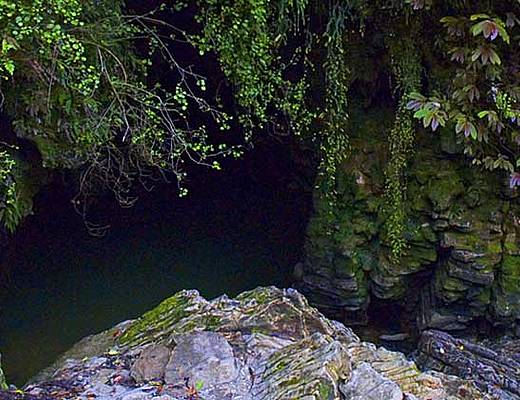 Waitomo Cave | rondreis Nieuw-Zeeland