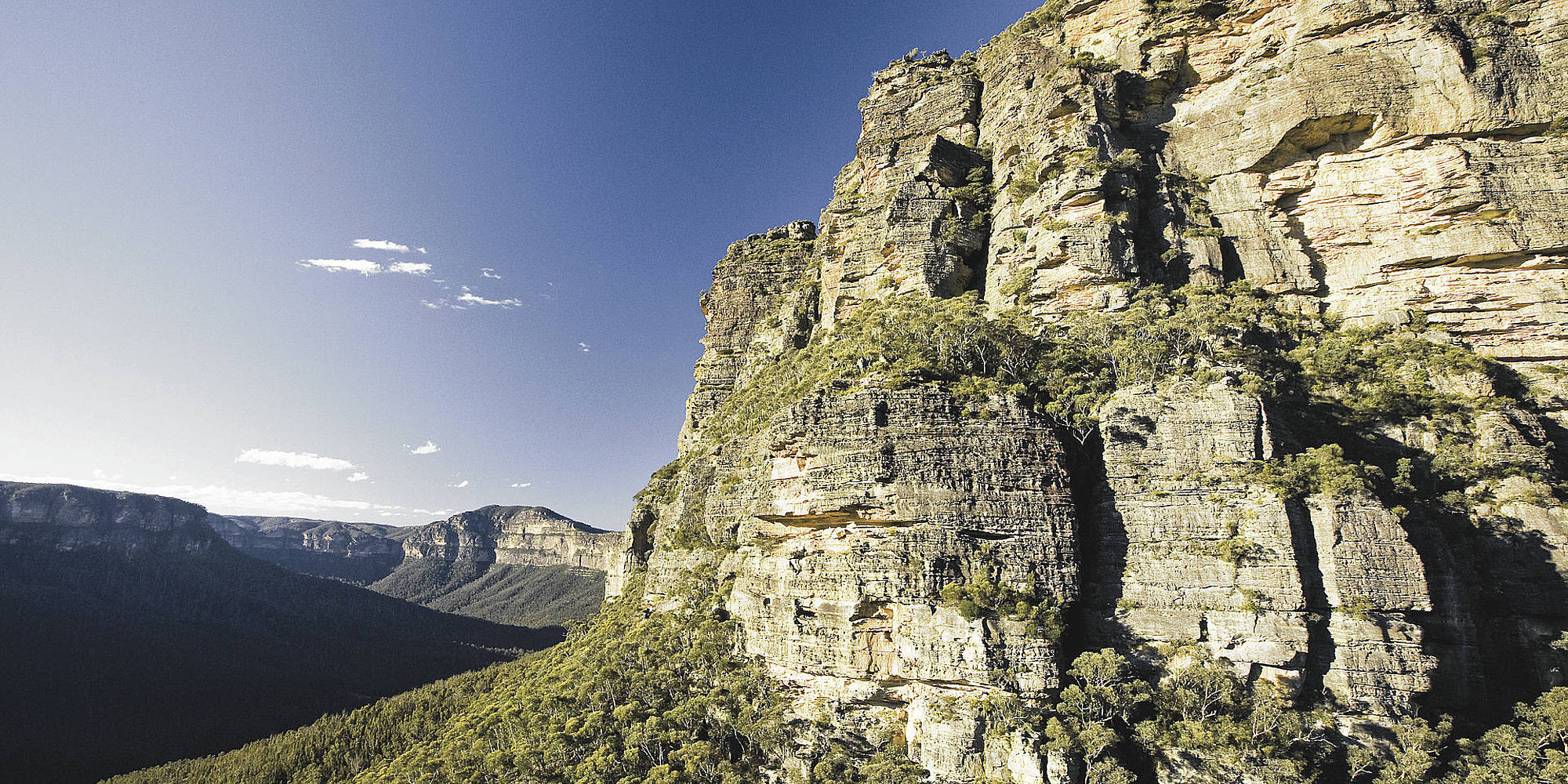 Blue Mountains | excursie australie