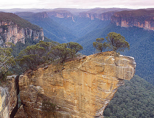 Blue Mountains | Excursies Australië