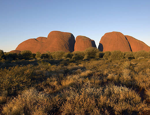 Kata Tjuta National Park | rondreis Australië