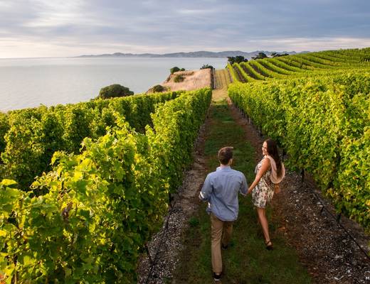 Gourmet Wine Tour | excursie Nieuw-Zeeland