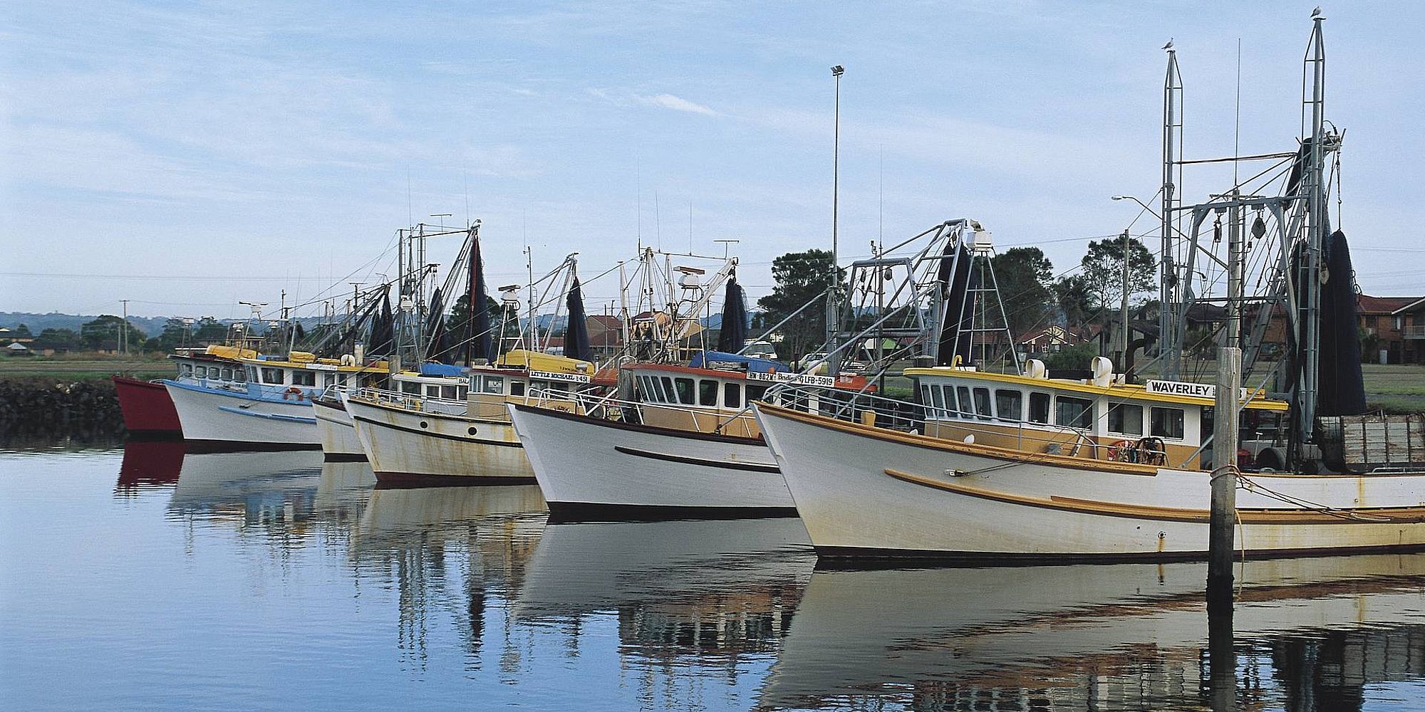 Ballina vissershaven | rondreis Australië