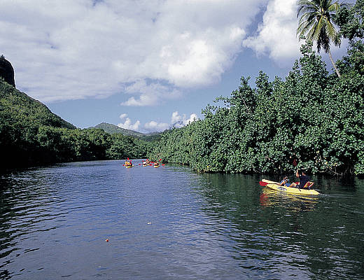 Jungle Valley Adventure | Kauai