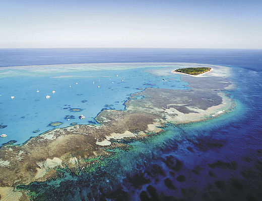 Great Barrier Reef 