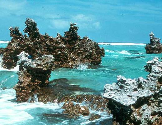 Tuamotu Eilanden | vakantie Frans Polynesië