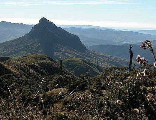 Gisborne | vakantie Nieuw-Zeeland