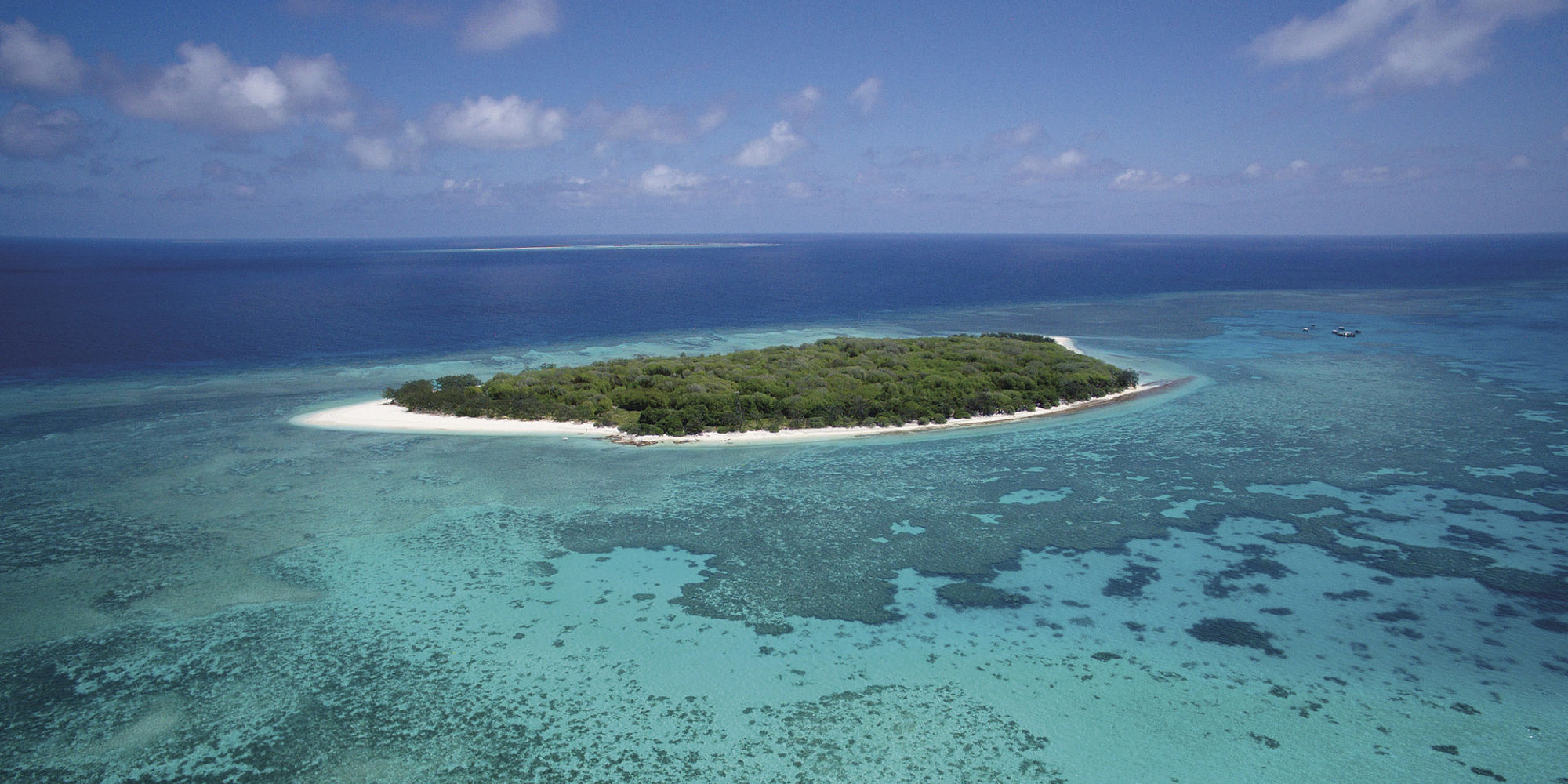 Lady Musgrave Island | rondreis australie
