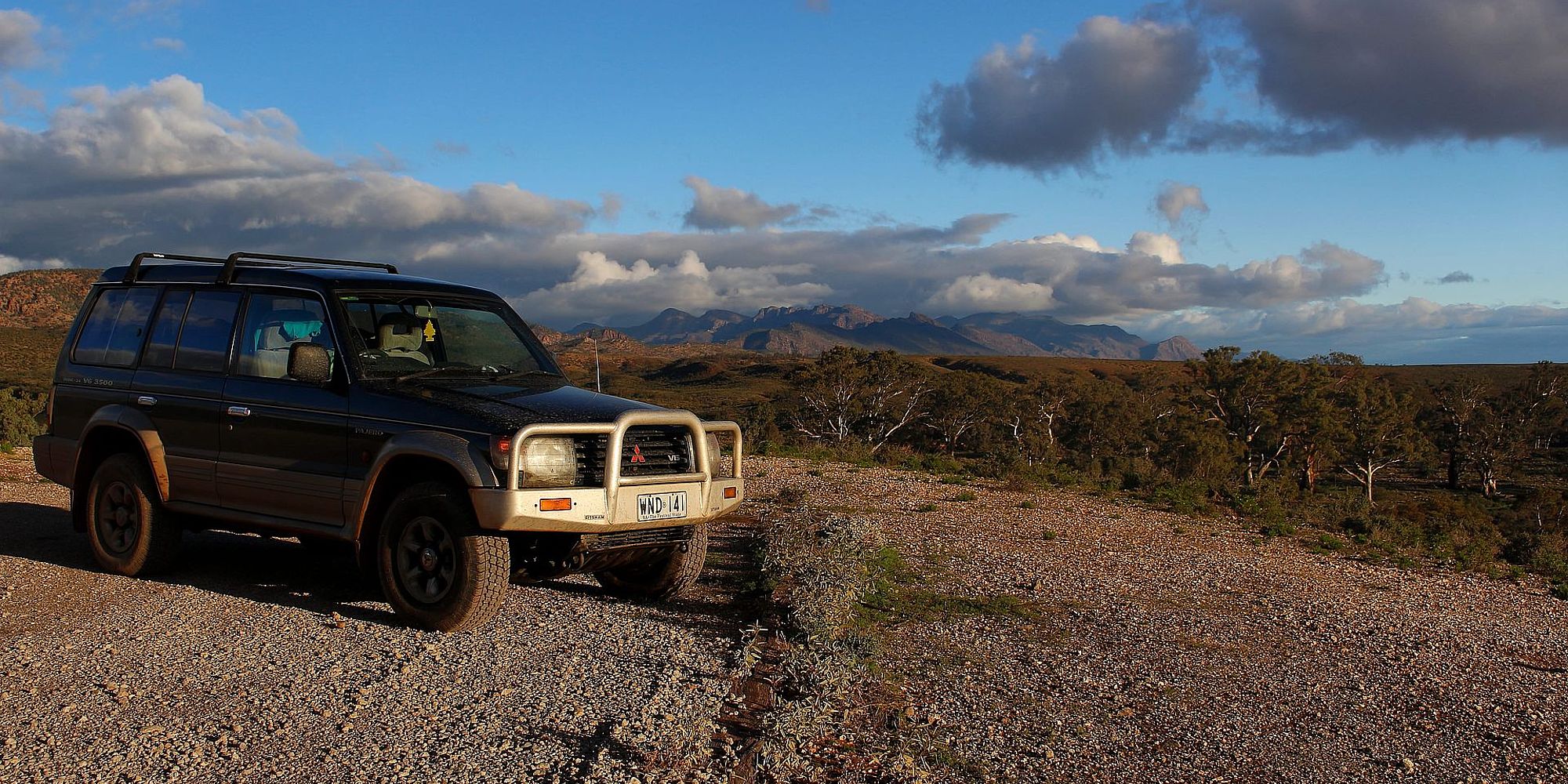 Onze Koala in de Flinders