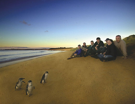 Philip Island Nature park