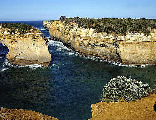 Tastes of Southern Australia