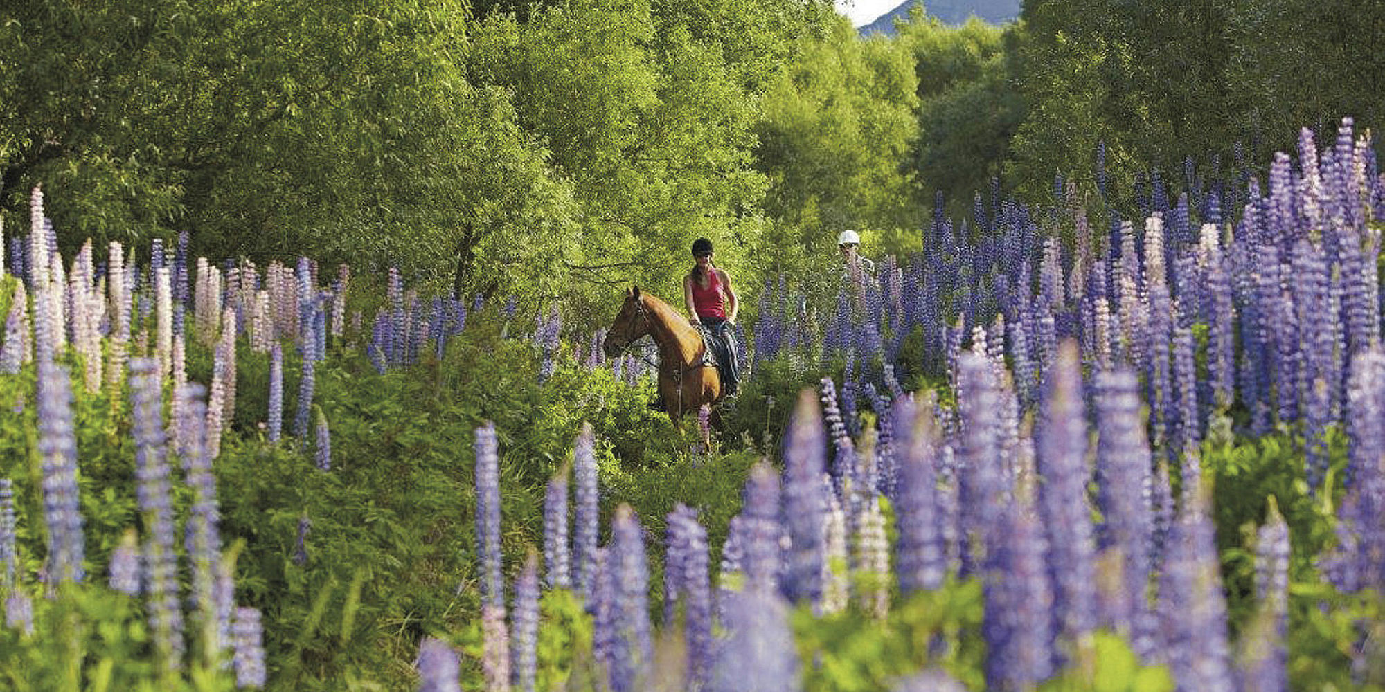 Te paard door het Nieuw-Zeelandse High Country