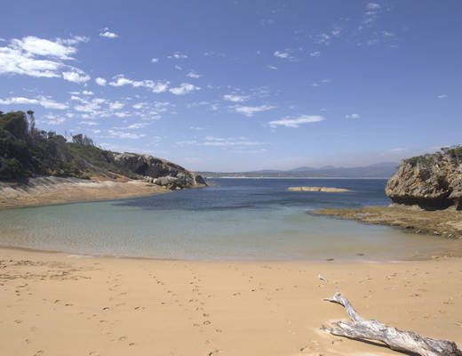 Furneaux Group Flinders Island Beach | rondreis Tasmanië