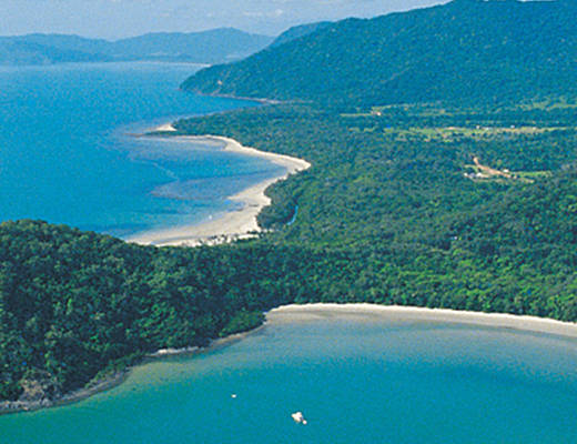 Daintree and Cape Tribulation | excursies Australië