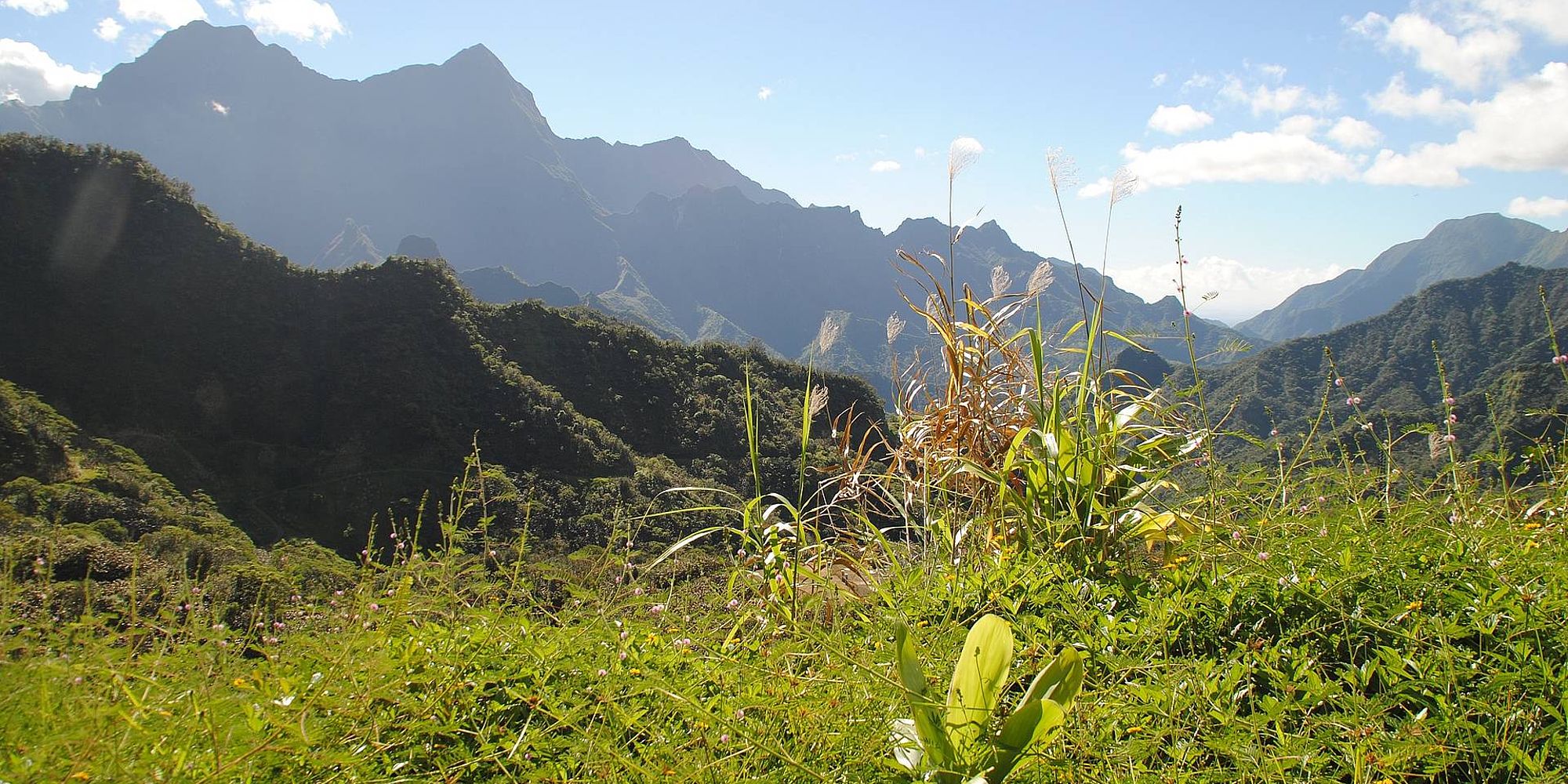 Binnenland Tahiti | vakantie Frans Polynesië