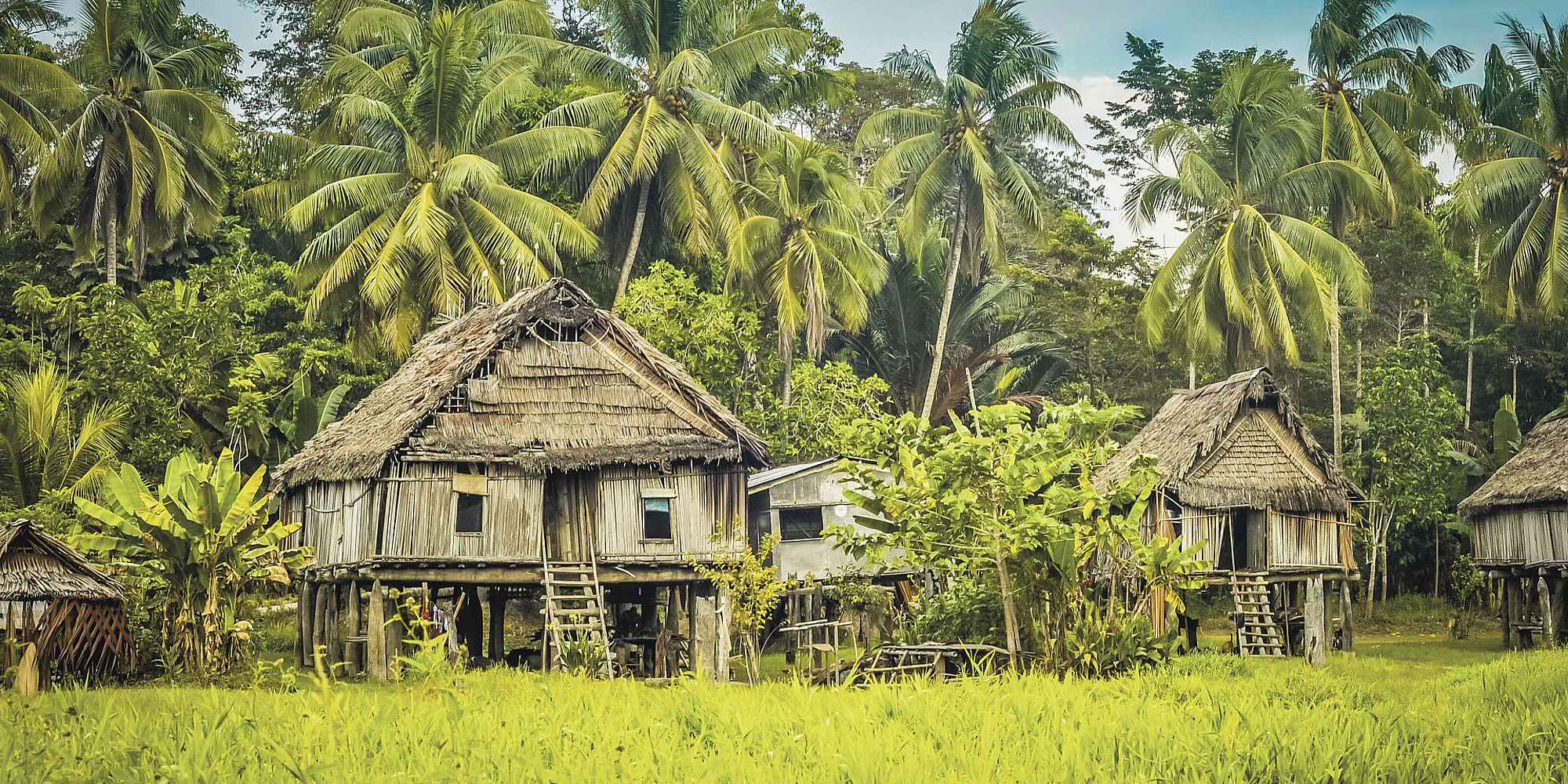 Papua New Guinea Highlight