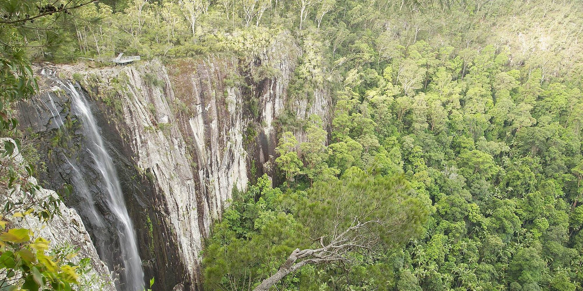 Minyon Falls | Rondreis New South Wales