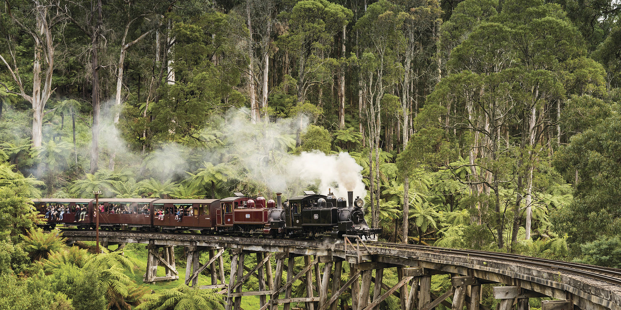 Yarra Valley Puffing Billy | Victoria
