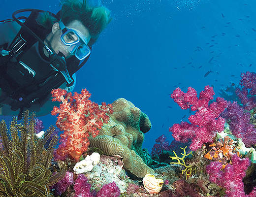 Great Barrier Reef | excursies Australië