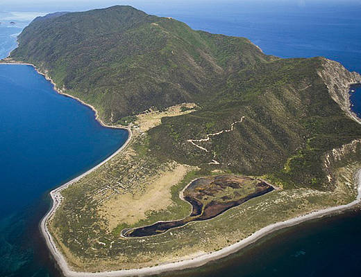 Kapiti Island | rondreis Nieuw-Zeeland
