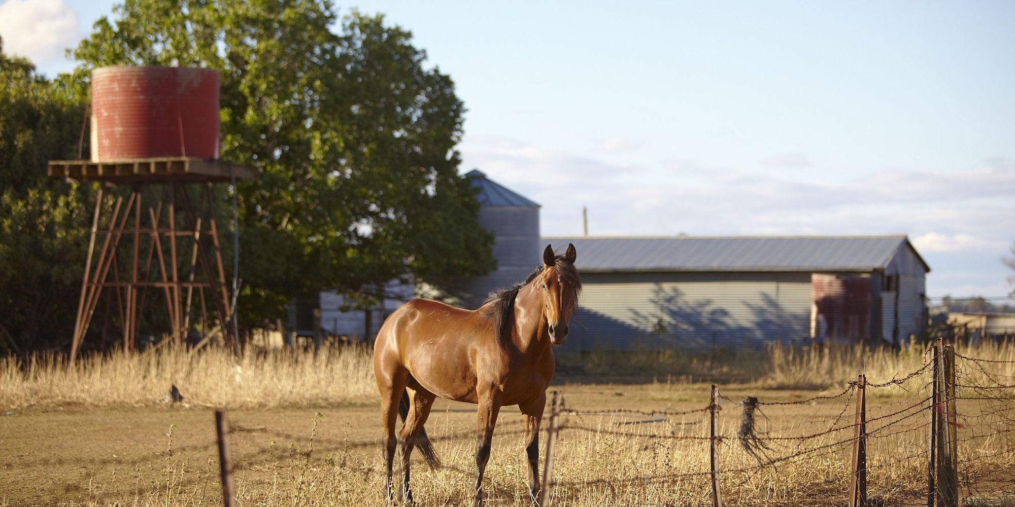 Rutherglen omgeving | victoria