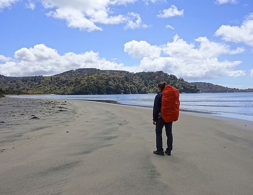 Rakiura track op Stewart Island