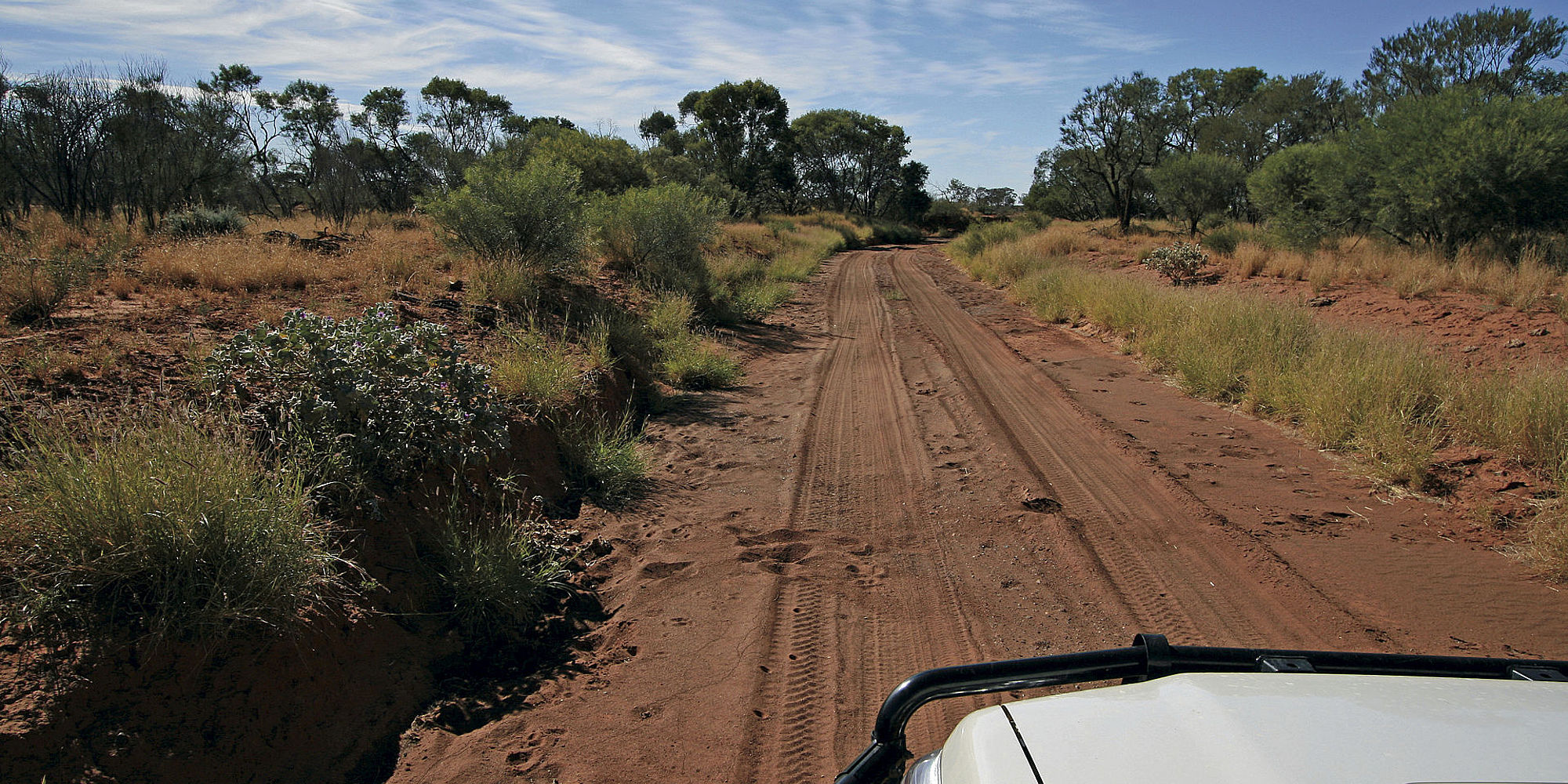 Weg tussen Mt. Augustus en Paraburdoo
