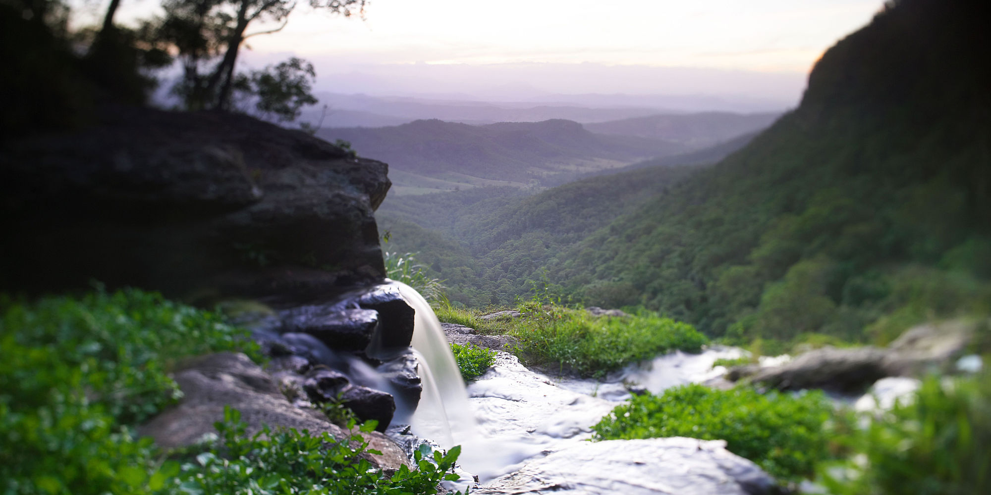 Lamington National Park
