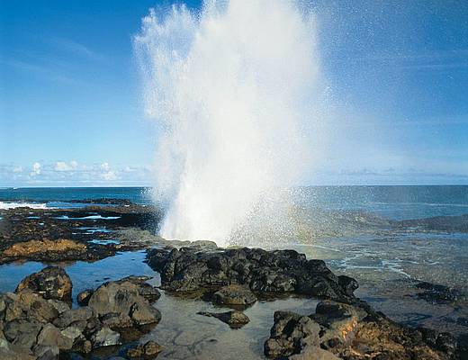 Highlights van Oahu | vakantie Hawaii