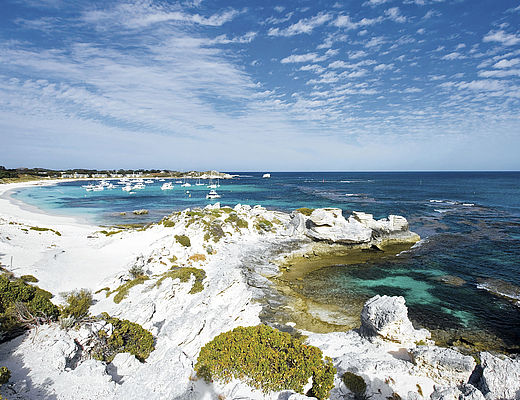 Rottnest Island Tour