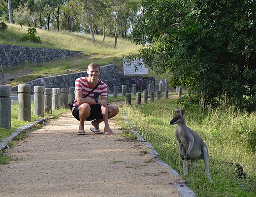 wildlife in Australië | rondreis Australië