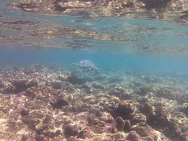 Whitsundays Whitsundays | vakantie Australië