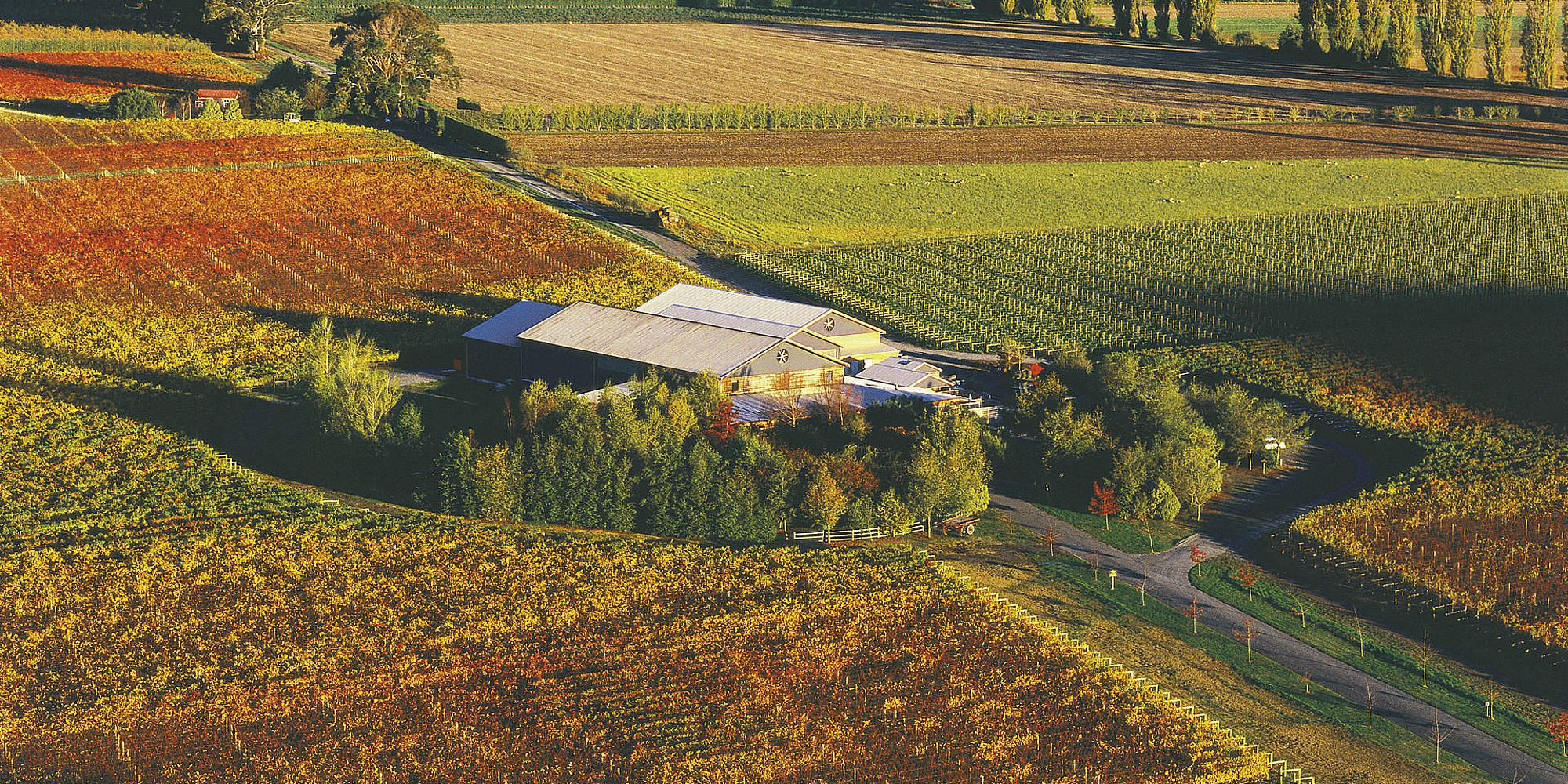 Hawke's Bay wijngaard | vakantie nieuw zeeland