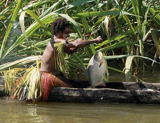 Lower Sepik | Vakantie Papoea Nieuw Guinea