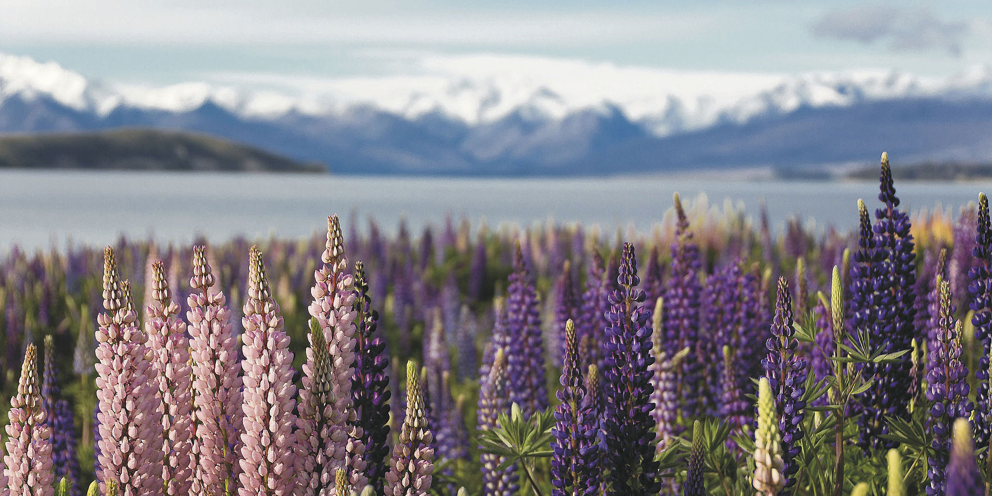 Zorgeloos Nieuw-Zeeland met privégids