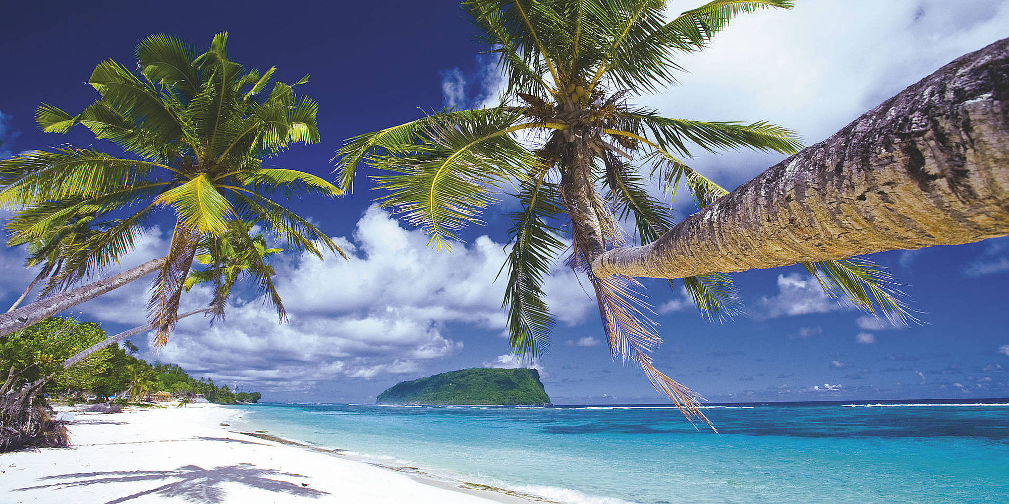 Upolu strand palmbomen | beste reistijd samoa